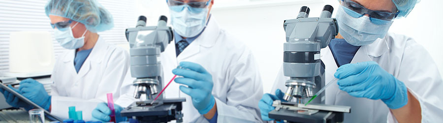 img healthcare l
